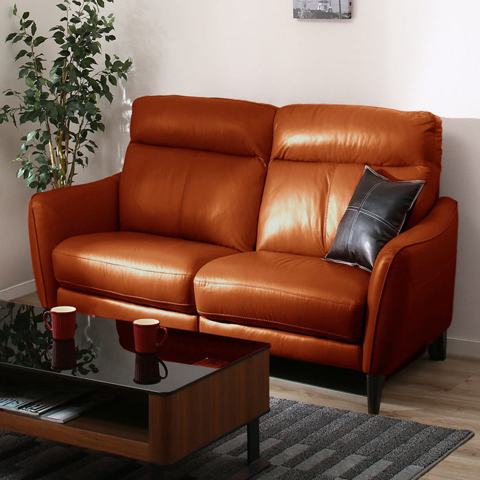 2 Seat Sofa Anhelo SK BR