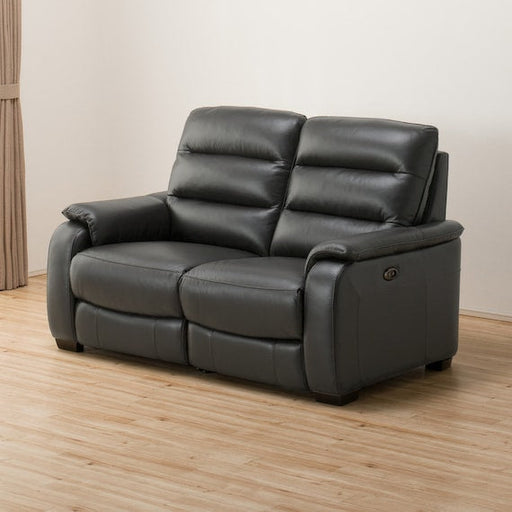 2 Seat LA-Electric Sofa Crona SK GY