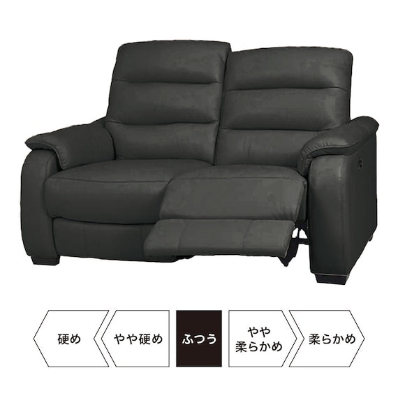 2 Seat LA-Electric Sofa Crona SK GY