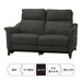 2P Electric Sofa Cherryb SK GY