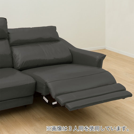 2P LA-Electric Sofa Cherryb SK GY