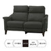 2P LA-Electric Sofa Cherryb SK GY