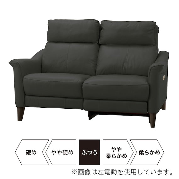 2P RA-Electric Sofa Cherryb SK GY