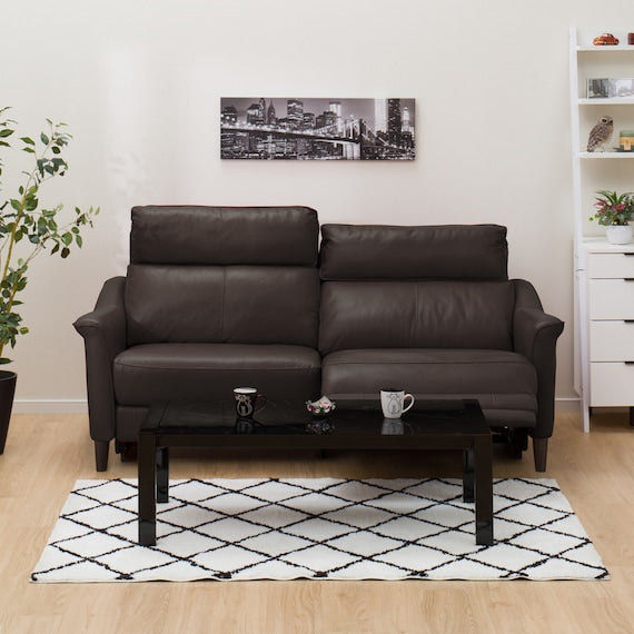 3P Electric Sofa Cherryb NB DBR