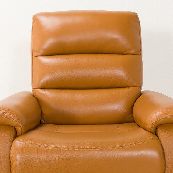 1 Seat Recliner Sofa N-Believa CA TK-Leather