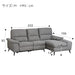 Electric Couch Sofa LB033-LC DR-GY