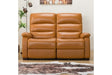 2 Seat Recliner Sofa N-Believa Ca2-Jhn76 Tk-Leather