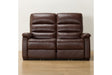 2 Seat Recliner Sofa N-Believa BR2-Scf66 Tk-Leather