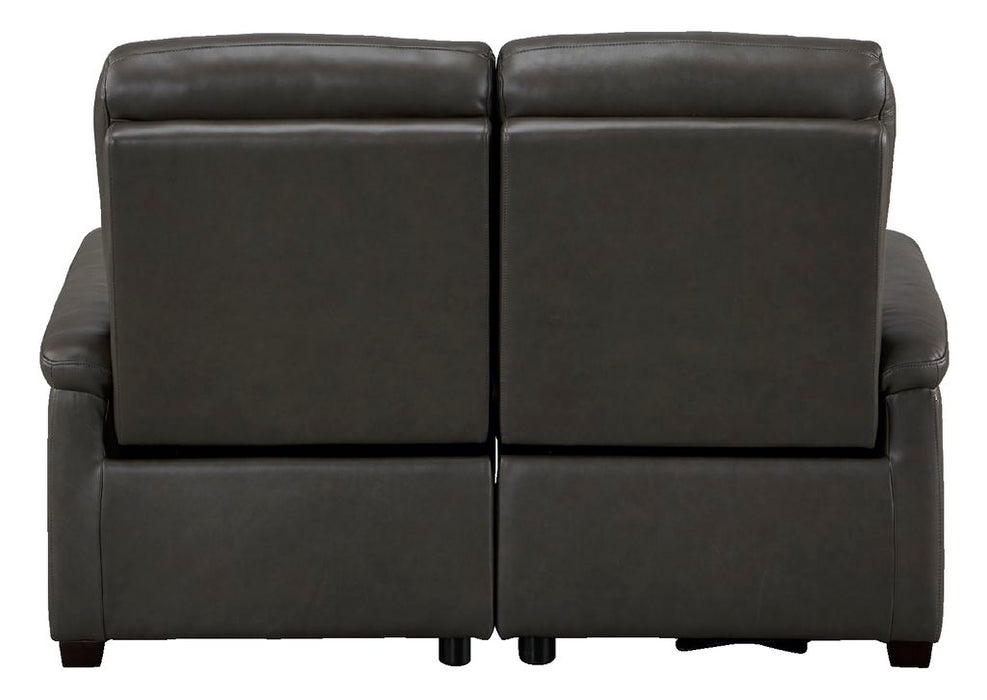2S Electric Sofa N-Believa DGY2-JHN76 TK-Leather