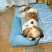 Pet Mat N Cool M-Square S231