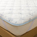 Sheet Topper  N Cool Mochi N-S Kerang3 WD