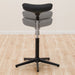 Standing Chair Equlib BK