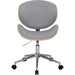 Office Chair OC107 NA