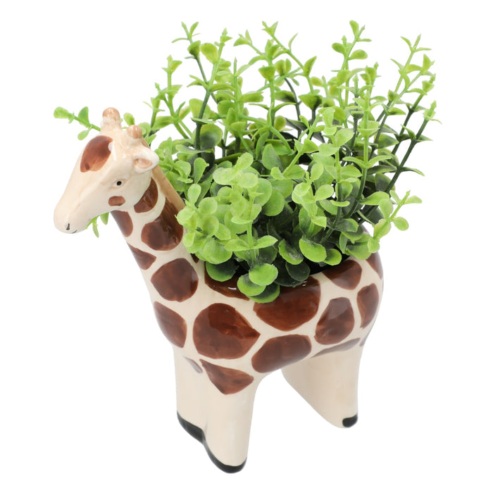 Oregano In Animal Pot Giraffe