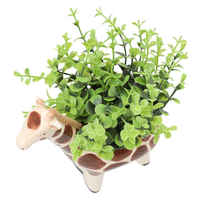 Oregano In Animal Pot Giraffe