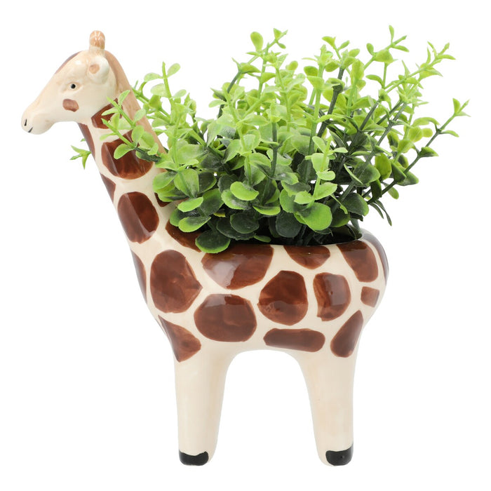 Oregano In Animal Pot Giraffe