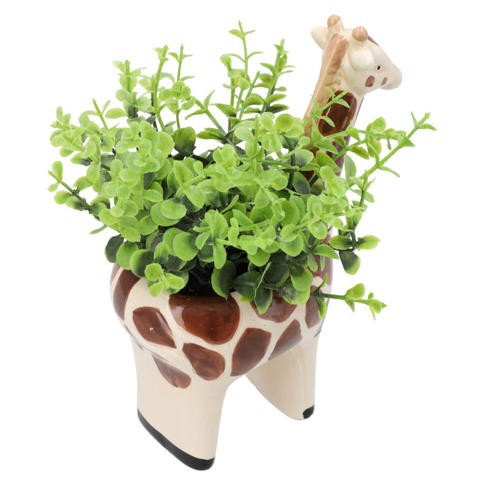 Oregano In Animal Pot Giraffe