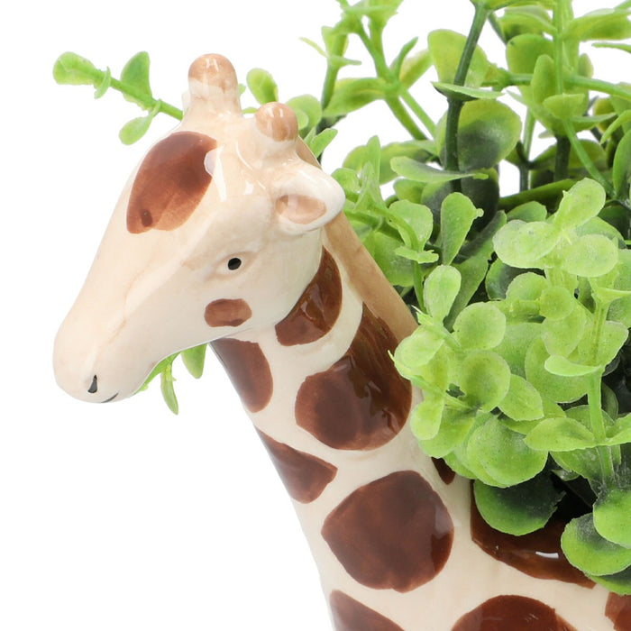 Oregano In Animal Pot Giraffe