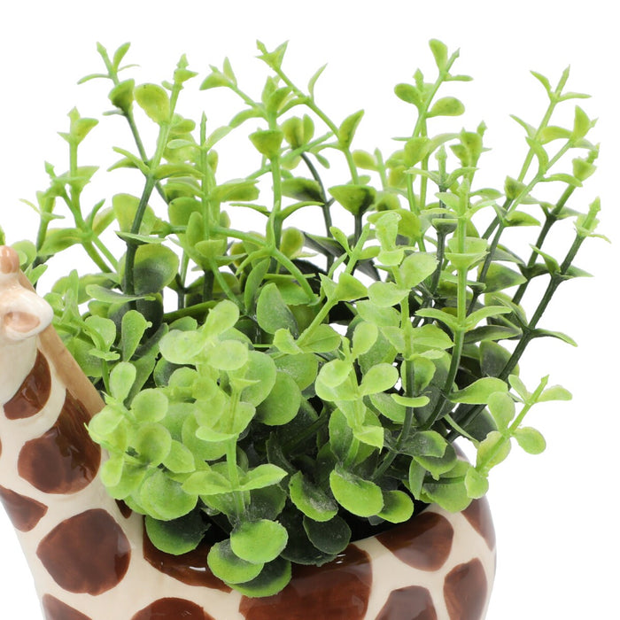 Oregano In Animal Pot Giraffe