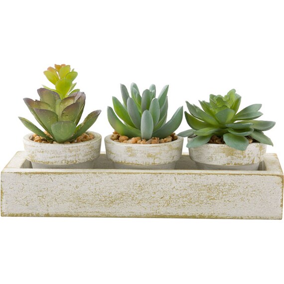 3 Pcs Succulent With Tray HA34315GN