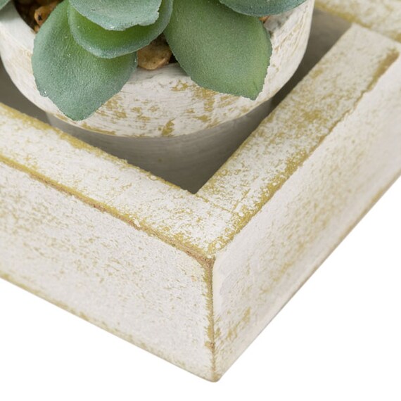 3 Pcs Succulent With Tray HA34315GN