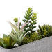 Succulent In Cement Pot Ha31755GN