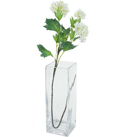 Flower Vase Tank 10x10x30CM