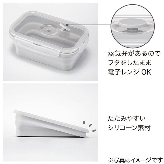 Foldable Storage Container 540ML