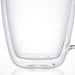 Double Layer Glass Mug Flavor 250ML