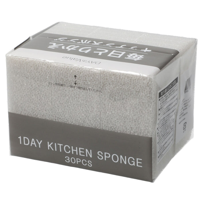 Daily Replacement Sponge 30P GY