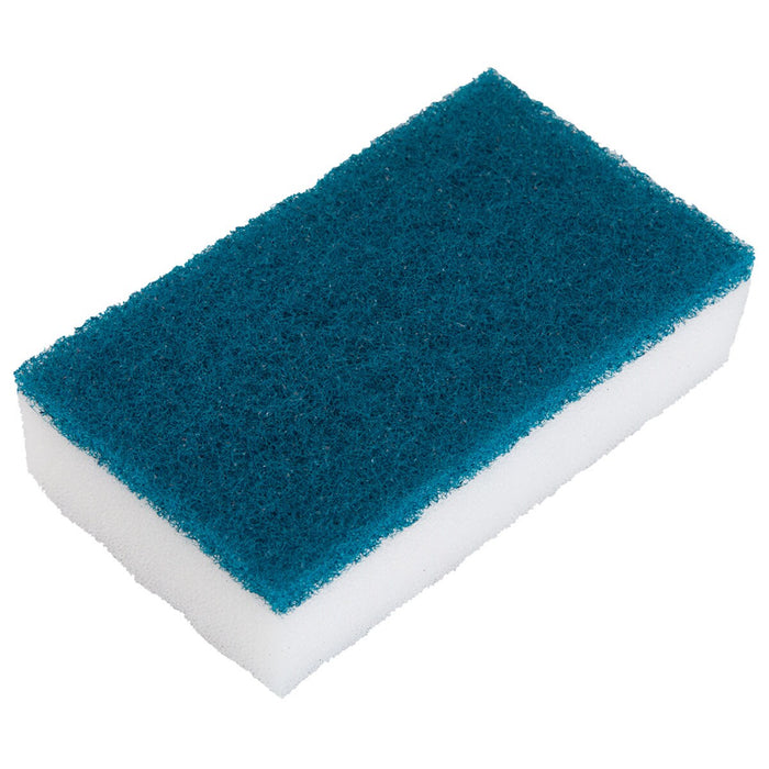 Antibacterial Hard Sponge 3P